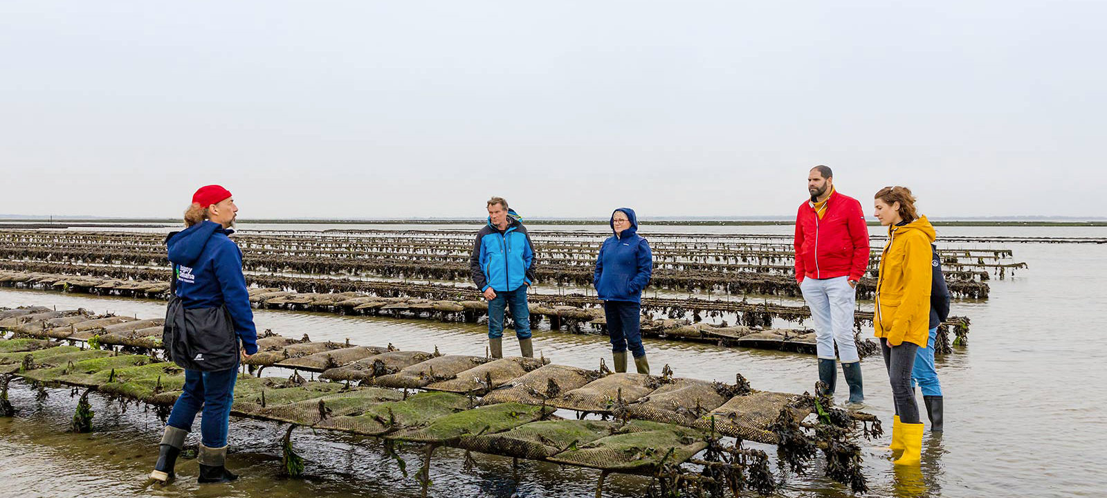 Expériences Normandes : Parc à huîtres dans la Baie des Veys © Sabina LORKIN